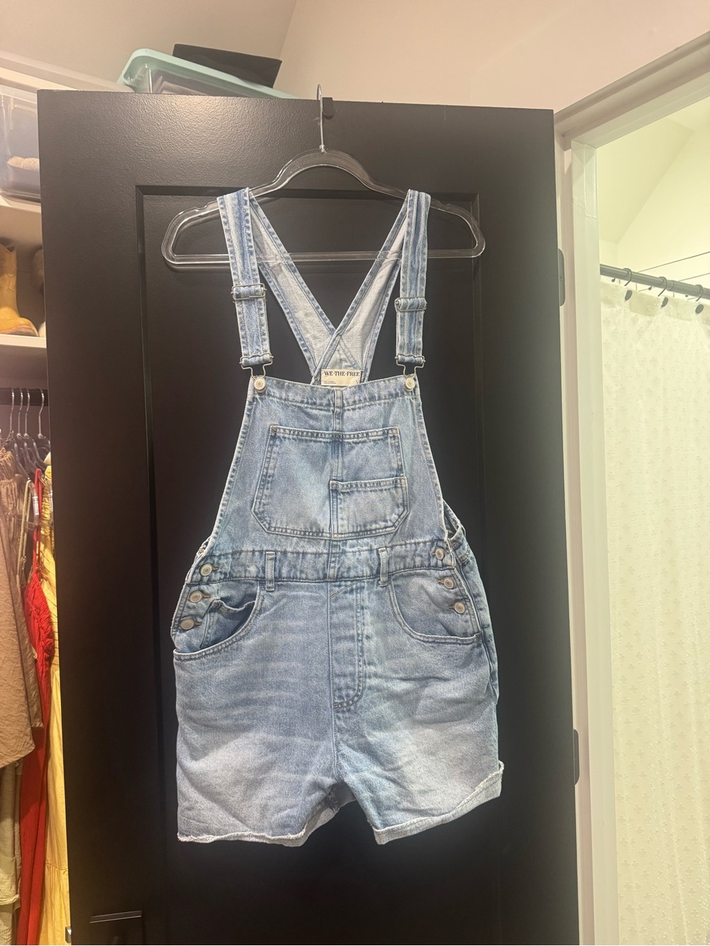 Free people overalls